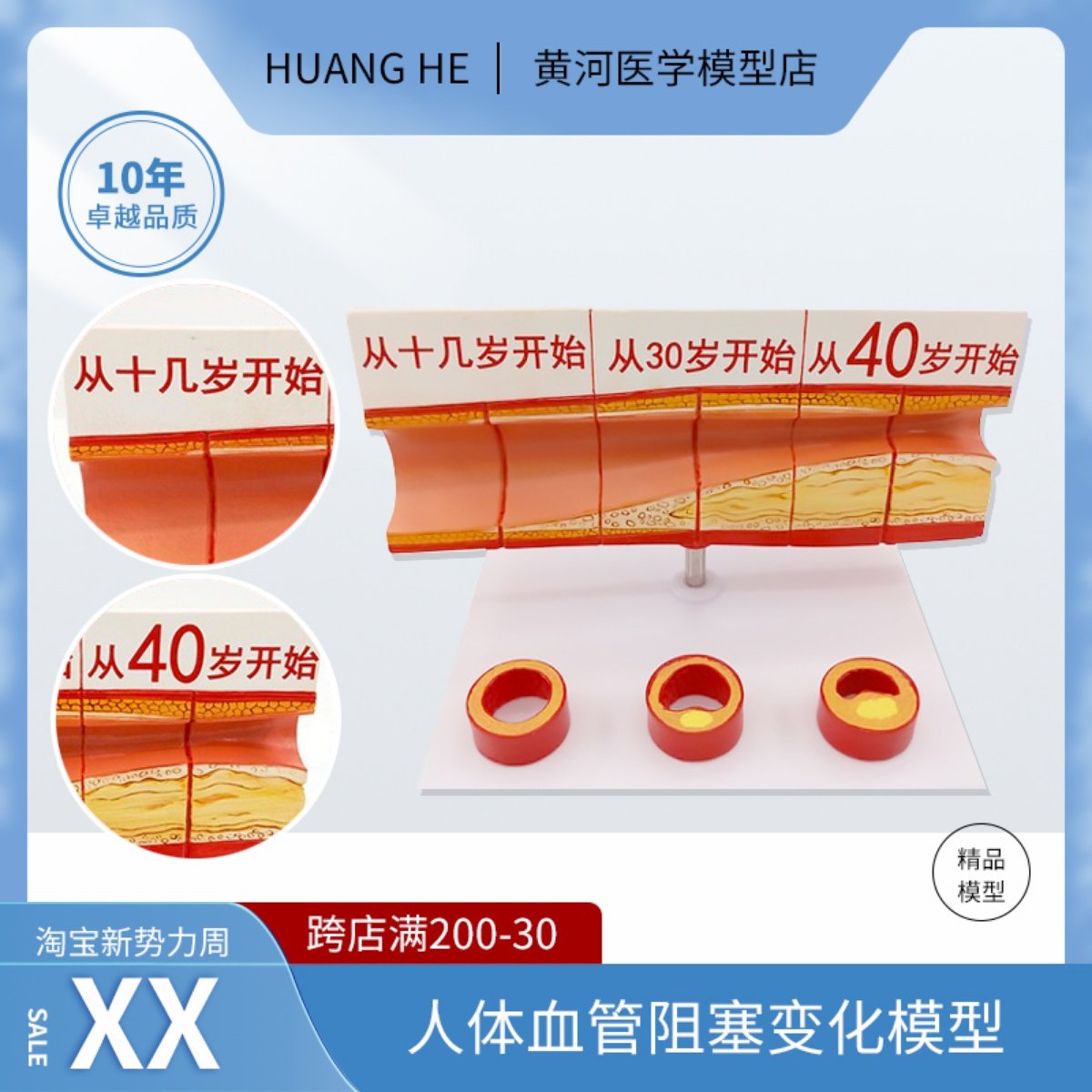 人体血管模型动脉血管阻塞变化演示教学模型器官解剖结构层次模型