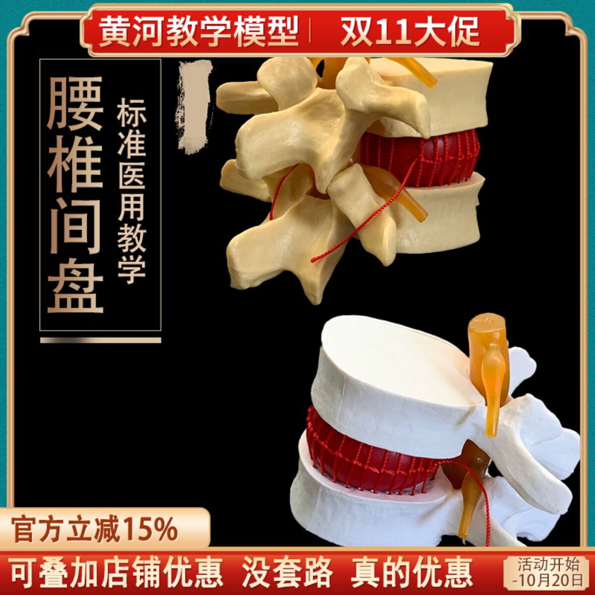 包邮!人体腰椎间盘演示模型 腰椎模型 脊柱模型 脊椎模型关节模型