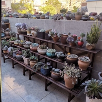 Outdoor Flower shelf waterproof sun-proof wood floral frame balcony with multi-layer stairs