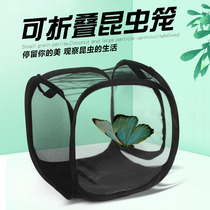 Cage à insectes pliable pour élevage de papillons cage à papillons gaze anti-insectes semis de mante boîte dobservation de culture transmettant la lumière