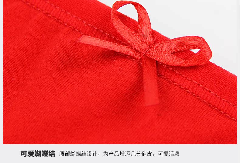 Slip jeunesse 9328-4 en coton - Ref 640977 Image 18