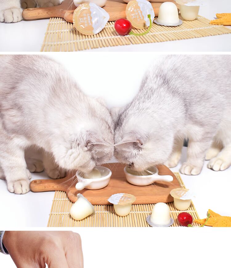Cả hai con dê sữa pudding mèo con mèo ăn nhẹ mèo thức ăn ướt thạch mèo đóng hộp mèo ăn nhẹ bánh mèo con - Đồ ăn nhẹ cho mèo hạt minino