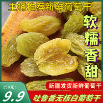 Xinjiang grapes dried small fruits pure sweet Turpan Nuclear-free White Grape Dried Green Food 2021 New goods Green Princess