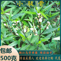 Freshly harvested from Chaoshan Green Grass Collection Black Bone Yellow Vine Xiaojudan Elderberry Tube Elderflower Eldervine Vine Elderberry.