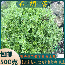 Freshly picked Chaoshan green grass goose grass goose does not eat grass goose eats grass goose does not eat grass stone coriander