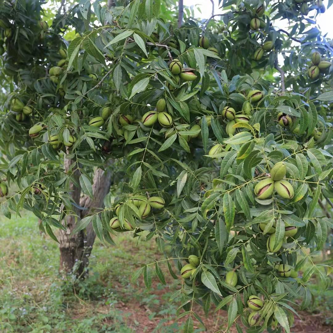 跟团游金华怎么选？2025年最新避坑指南+省钱攻略