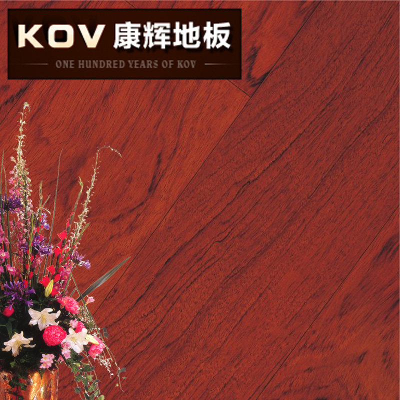 ����ʵľ���ϵذ� TB9963-1