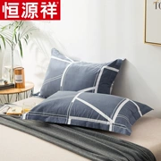 Bông tằm bông vỏ bọc gối bông cotton đôi sinh viên độc thân gối 48x74cm một cặp - Gối trường hợp