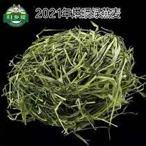Gansu home half-dried green oat grass 500g plateau rabbit grass dragon cat guinea pig grain can replace grass