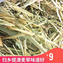 Oat grass Aomai Hay Hay rabbit grass 500g pet returning home to pasture instead of Timothy grass guinea pig staple food