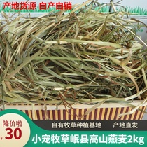 Minxian oatgrass 4kg Gansu homecoming rabbit grass instead of Timothy Chinchow pig guinea pig Hay