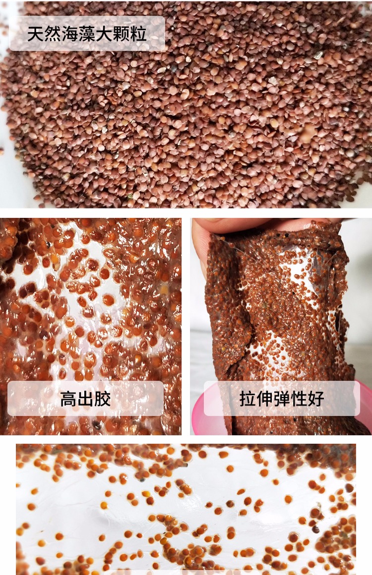 Thái Lan sẽ mọc mầm mặt nạ hạt rong biển thẩm mỹ viện thẩm mỹ túi đặc biệt dưỡng ẩm tinh khiết tự nhiên 1000 bà bầu kem dưỡng da mặt