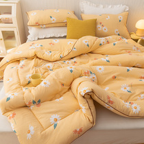 Spring and autumn quilt quilt core washable summer cool quilted by air conditioning quilt by winter quilt thickened bedding single double season universal cotton quilt