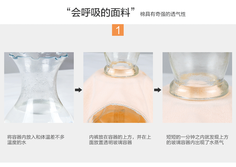 Slip jeunesse HODO DK102 en coton - Ref 642145 Image 9