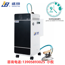 Shengtian fully automatic electric heating steam generator 3 6 9 12 18 24KW boiler automatically adds water