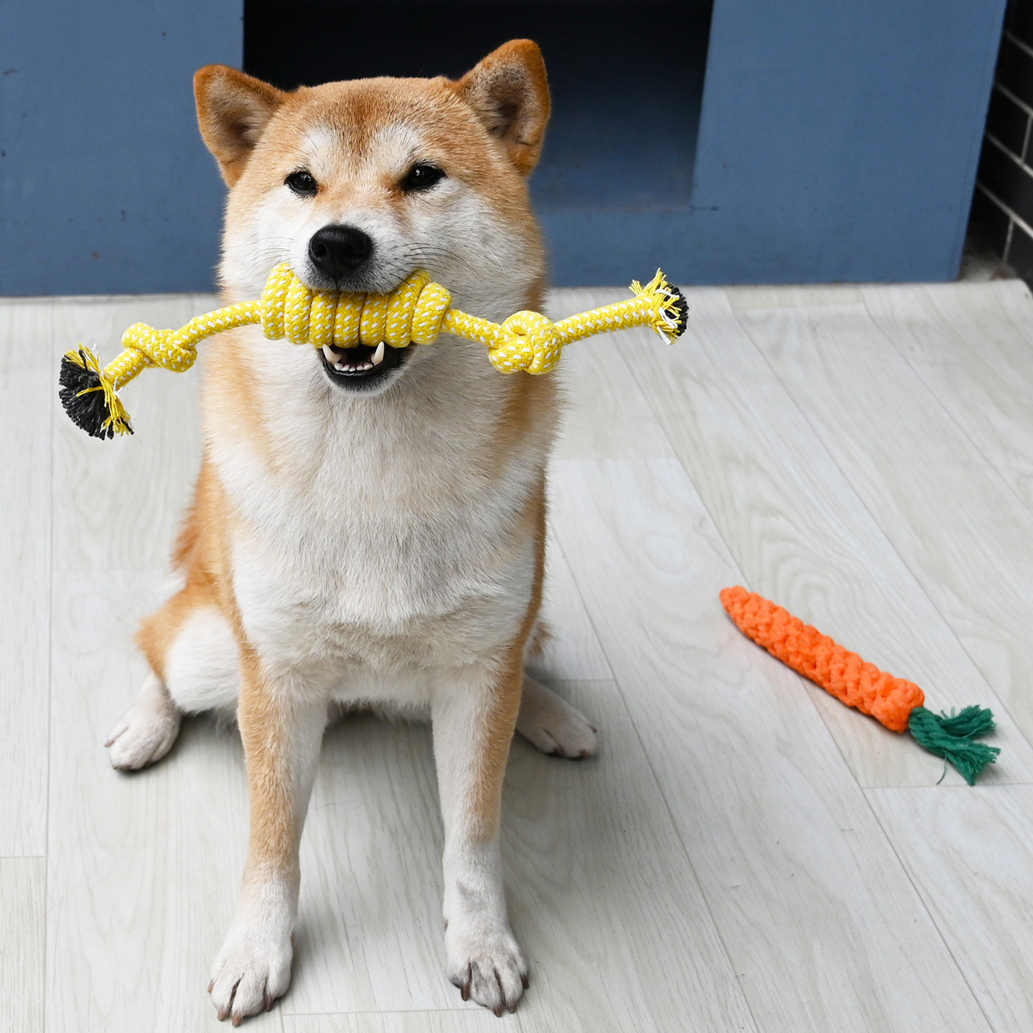 🐶超萌芮柴宠物狗狗胡萝卜绳结玩具，让爱宠爱上咀嚼新体验！🥕 -磨牙洁齿玩具/绳结玩具-淘宝好物网