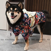 Голубая бабочка вишня