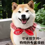 Шарф, галстук-бабочка с бантиком, аксессуар, делается под заказ