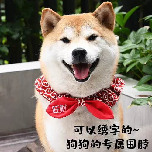 Шарф, галстук-бабочка с бантиком, аксессуар, делается под заказ