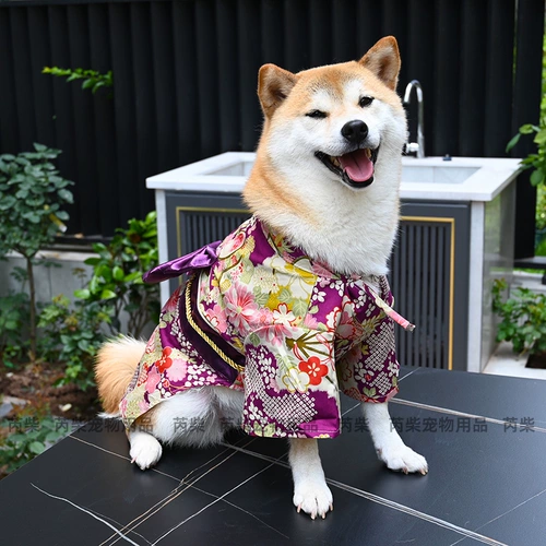 芮柴 Оригинальная домашняя домашняя собака одежда Corgi Schnauzer Shiba Inu Kimono Photography Photograph