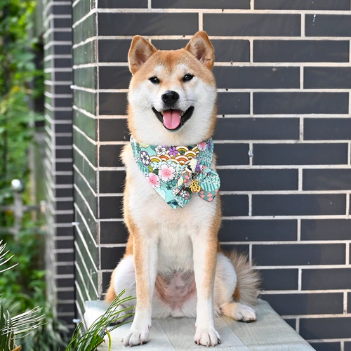 芮柴 Шаровая ошейник для любимой собаки и стиль трава трава лук -треугольник шарф Шарф Тедди Шиба Ину воротнич