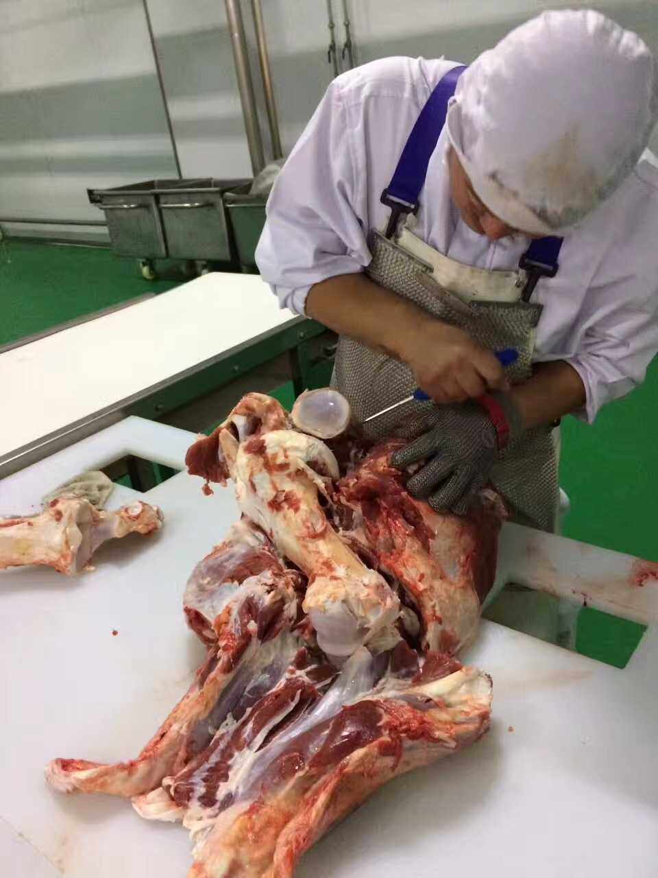 Stainless Steel Protective Gloves Slaughter exclusive German Imports Safe Bone Sawing Bone machines Single Price New Year