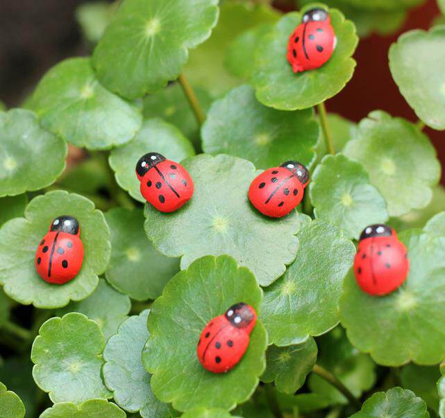 Micro Landscape Micro Landscape Pendulum wood Process Beetle Seven Stars Ladybug Small Ladybug DIY Accessories