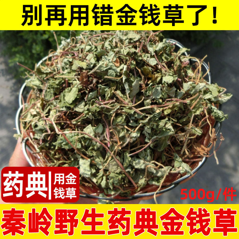 Chinese herbal medicine gold money grass 500g authentic medicine classic wild large leaf gold money grass dried tea over road yellowstone tea