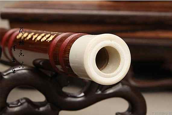 Sáo nhạc cụ cho người mới bắt đầu - Nhạc cụ dân tộc đàn cổ tranh