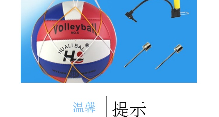 Ballon de volley-ball - Ref 2010500 Image 24