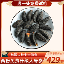 9 years Canadian sea cucumber imported pure wild sea cucumber light dry Arctic red ginseng 454 grams non-Iceland