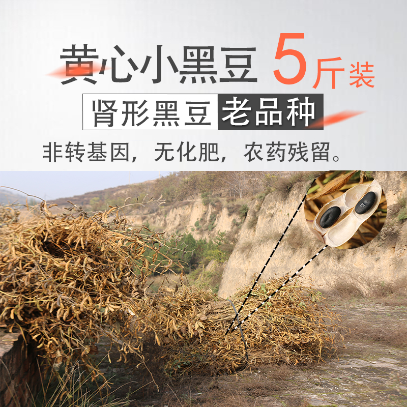 Huangxian small black bean 5 kg in 2021 new farmers produced nongenetic modification of soy slurry bean sprout