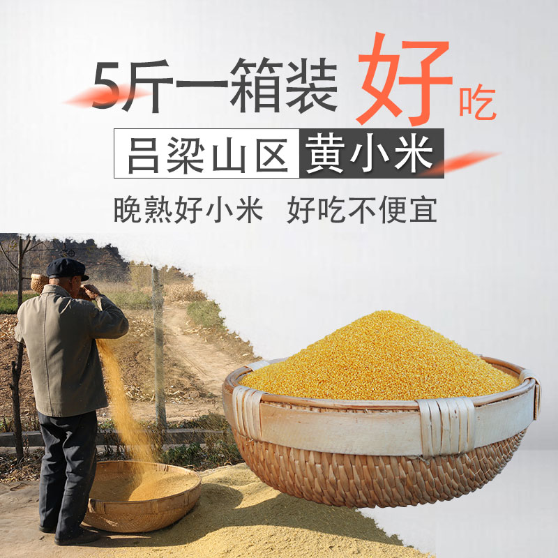 (5 catty loaded with Shanxi Xiaomi) 2021 New goods HuangXiaomi farmhouse self-produced lunar rice cereal porridge 2500g