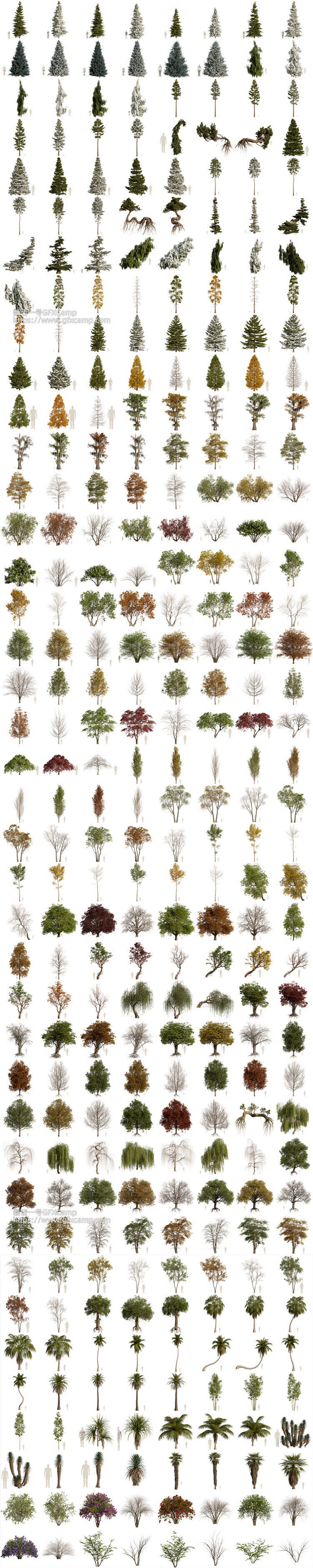 Blender植物树木自然环境散布生成动画资产预设库 Arborea