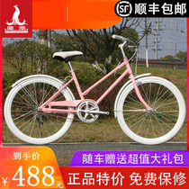 Phoenix brand commuter bicycles men and women 24 inch single speed bicycle light entry-level city Lady retro scooter