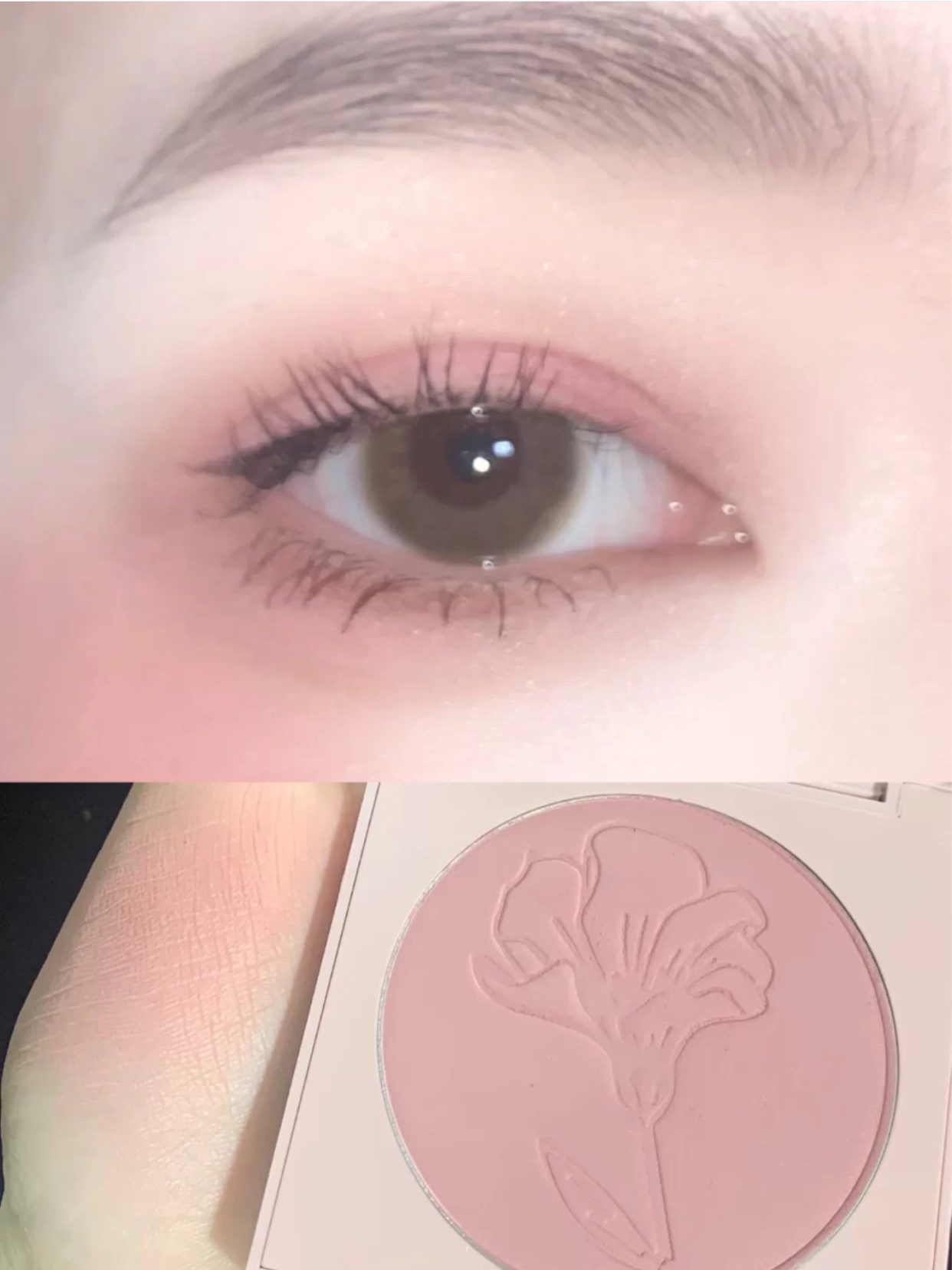 American colourpop new product iris withered rose blush coast to coast