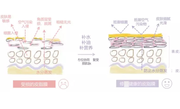SU3 Pháp làm mới 泉 Kem dưỡng ẩm và dưỡng ẩm cho nữ sinh viên mùa thu đông - Kem dưỡng da mặt nạ 3w clinic