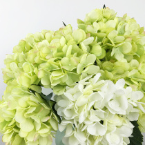5 Hydrangea simulation flowers fake flowers living room decoration wedding dry flower bouquet table decoration home furnishings