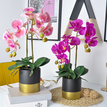 Phalaenopsis simulation flower fake flower decoration living room coffee table floral ornaments high-grade decorative flower potted dining table flower flower arrangement