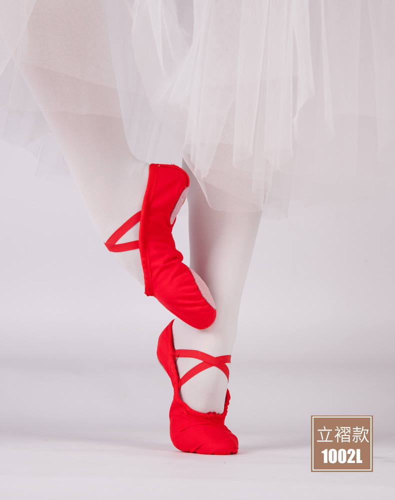 Chaussons de danse - Ref 3447680 Image 20