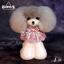 Jiang Hao pet beautician Japanese cute Teddy ram head practice fake hair model fake hair than Bear