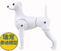 Rui pet pet beauty Teddy model fake dog model skeleton full body fake hair dog hair manufacturer