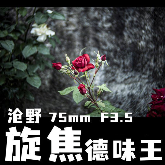 Cangyan/75mm F3.5 Rotary Jiao Dewei King Care Lottery