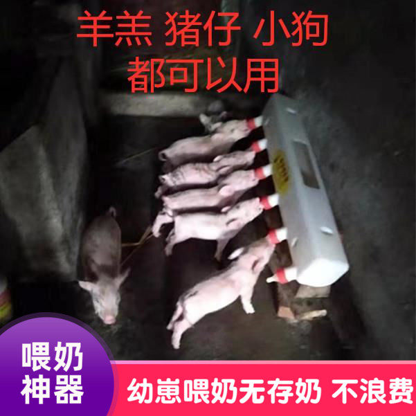 Feeding pig bottle Feeding sheep pacifier magic device Piglet with Suckling animal with automatic breeding drink sucking milk feeding machine