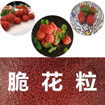 Guifei Lychee shrimp ball Red crispy flower grains Red Dust Concubine Lychee Green flower grains Red crispy flower grains fried red crispy grains