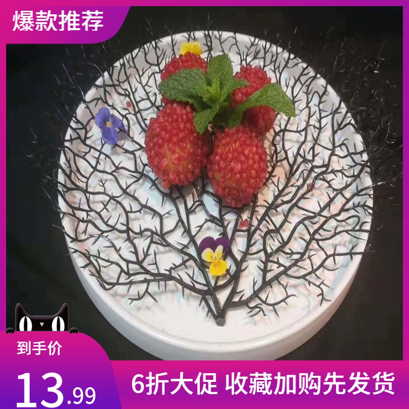 Sea Coral Delicious Decoration Creative vegetable Disk Decorated Black Coral Simulation Coral Tree Fittings