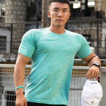 EN original sports tights Muscle short-sleeved t-shirt brother fitness running sweat-absorbing quick-drying breathable training suit