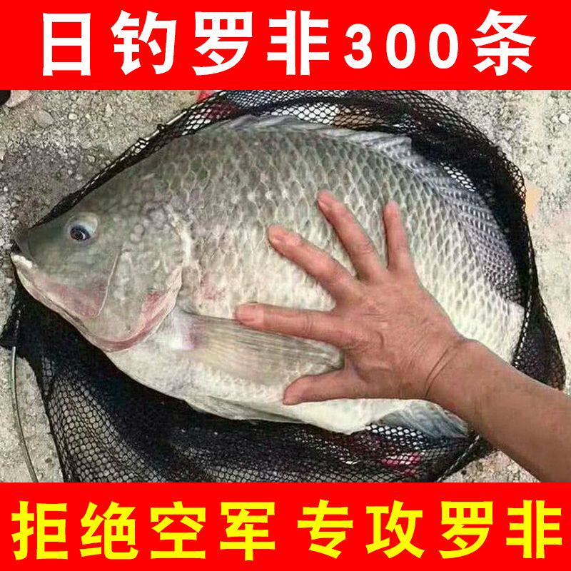 เหยื่อปลานิลสำหรับการตกปลาธรรมชาติในบ่อสีดำ เหยื่อพิเศษสำหรับปลานิลขนาดใหญ่ เหยื่อปลานิลกลิ่นตับและกลิ่นคาวจากมณฑลกวางตุ้งและกวางสี