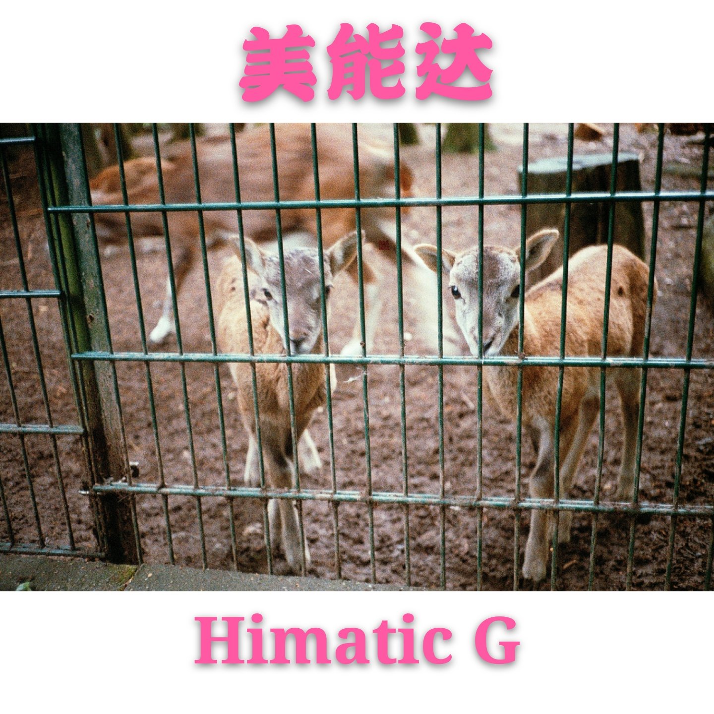 Sample: Minolta minolta himatic g