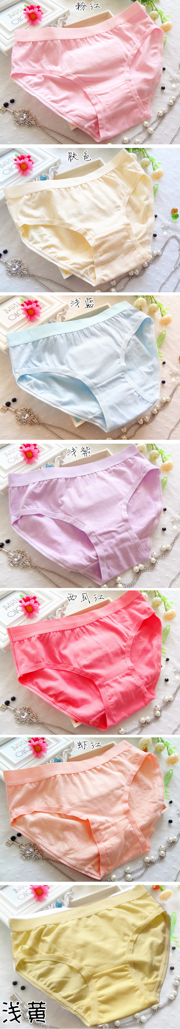 Slip jeunesse DKLK simple en coton - Ref 645142 Image 10